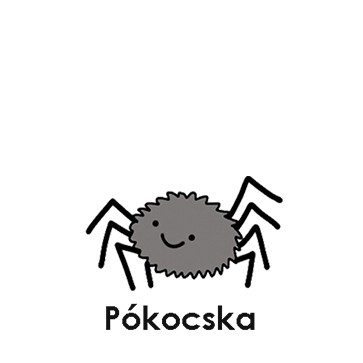 Pókocska