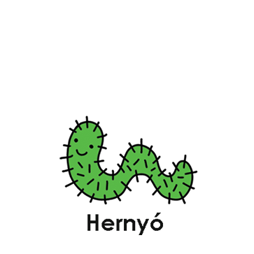 Hernyó