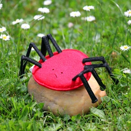 Barlangi Pók ujjbáb