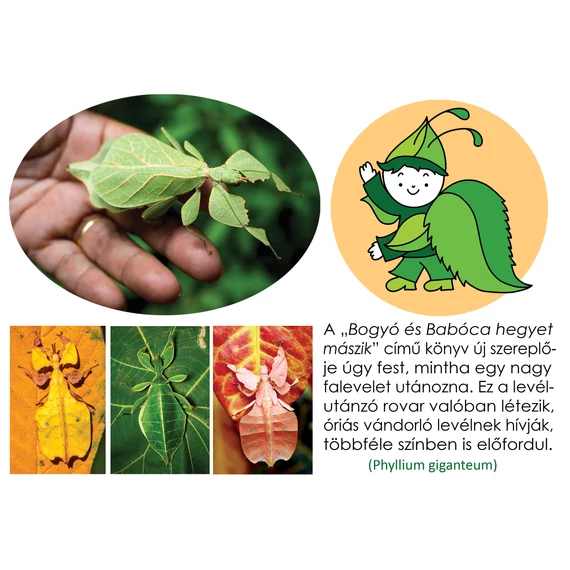 Bogyó és Babóca hegyet mászik